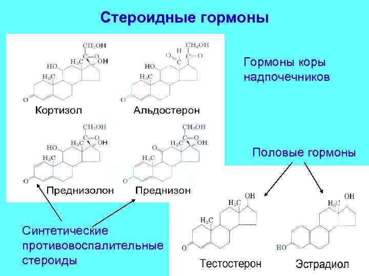 Стероидные гормоны Гормоны коры надпочечников Половые гормоны Синтетические противовоспалительные стероиды 