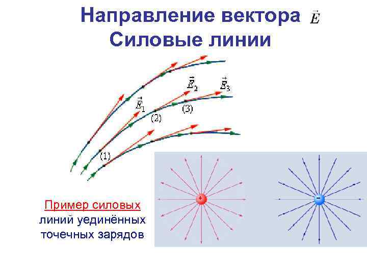 Направление вектора Силовые линии Пример силовых линий уединённых точечных зарядов 