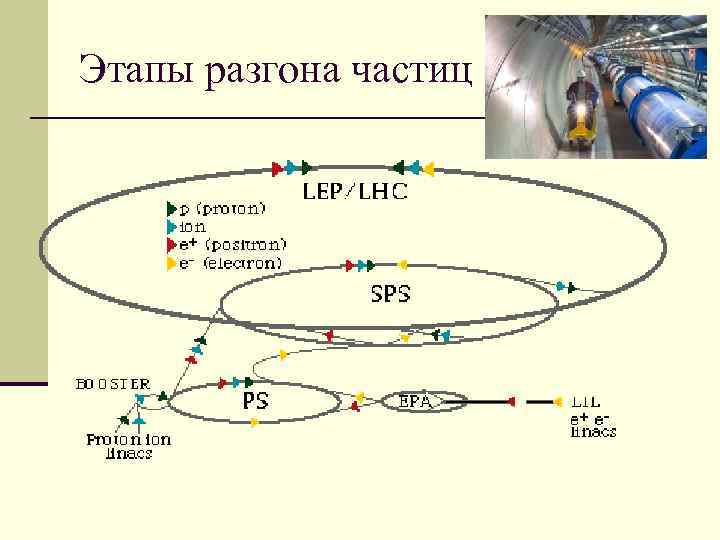 Частицы и поля