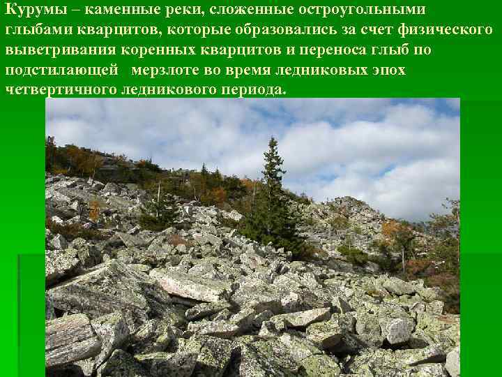 Курумы – каменные реки, сложенные остроугольными глыбами кварцитов, которые образовались за счет физического выветривания