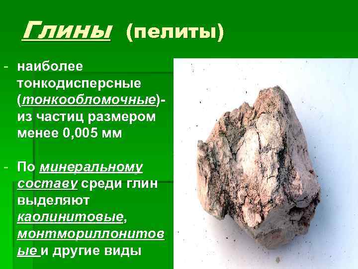 Глины (пелиты) - наиболее тонкодисперсные (тонкообломочные)из частиц размером менее 0, 005 мм - По