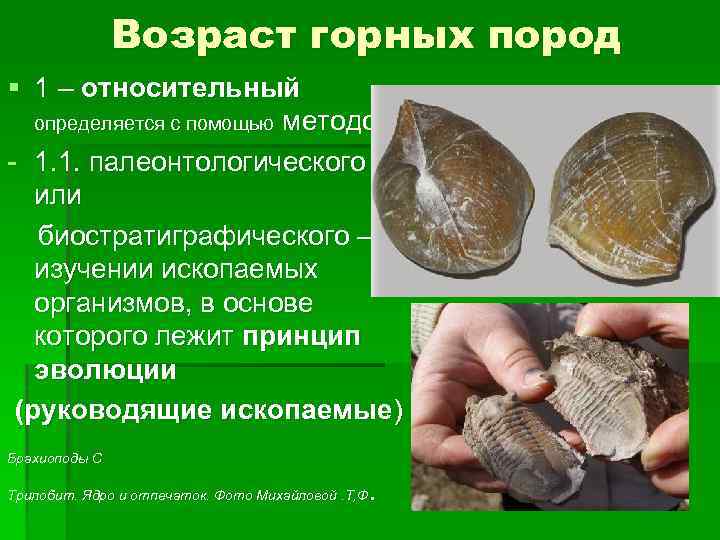 Возраст горных пород § 1 – относительный определяется с помощью методов: - 1. 1.