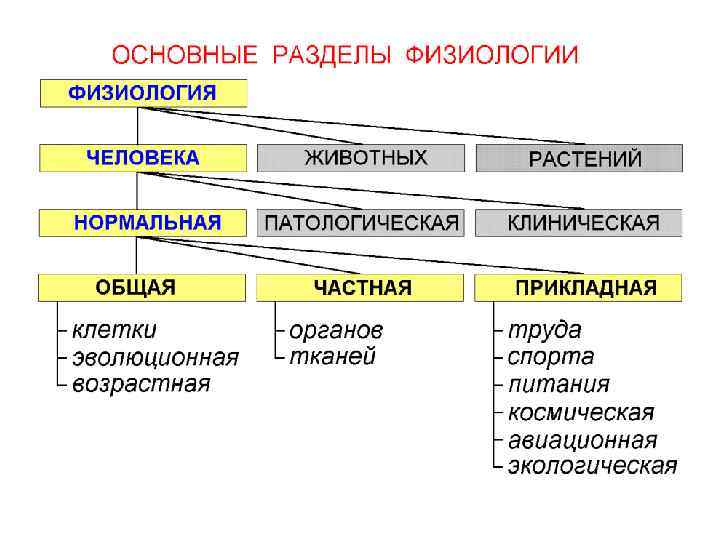 Физиолог виды