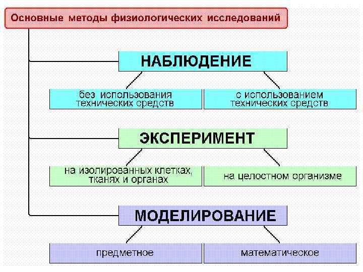 Какой ученый впервые ввел метод опроса в схему клинического исследования