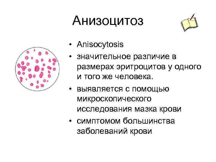 Анизоцитоз • Anisocytosis • значительное различие в размерах эритроцитов у одного и того же