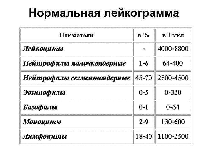 Нормальная лейкограмма 