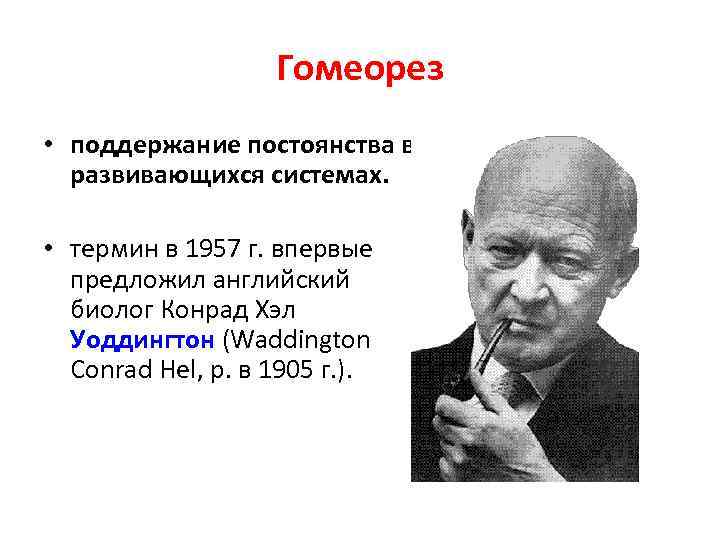 Гомеорез • поддержание постоянства в развивающихся системах. • термин в 1957 г. впервые предложил