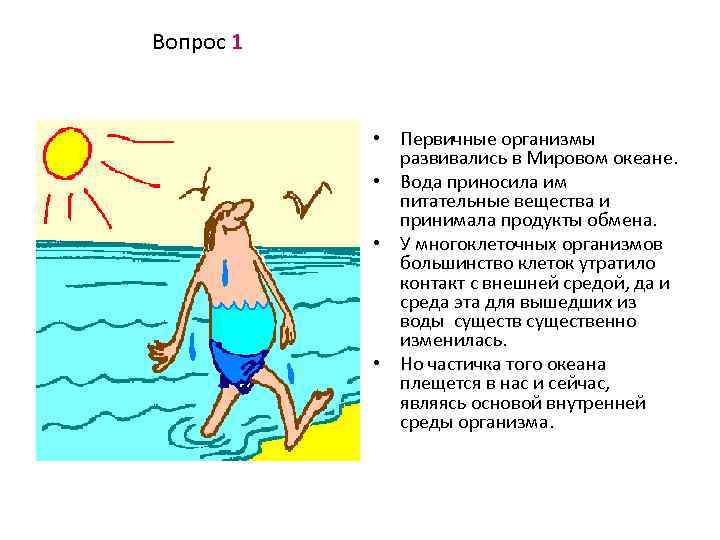 Несущая вода. Первичные организмы. Питательные вещества в океане. Объединение простых питательных веществ в Водах первичного океана. Организм отдает воду во внешнюю среду через.