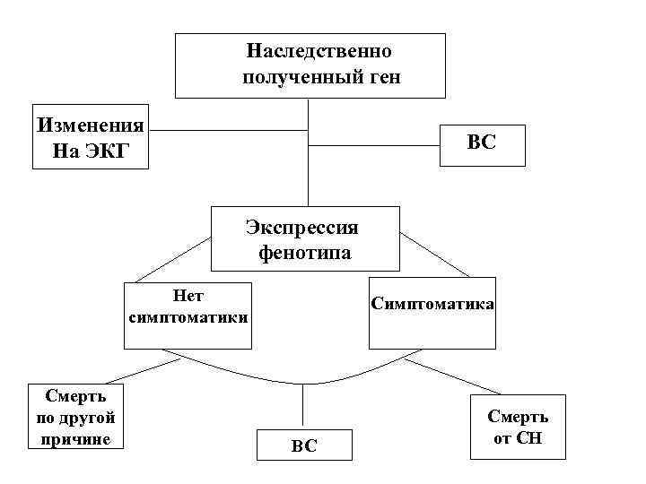 Наследственно полученный ген Изменения На ЭКГ ВС Экспрессия фенотипа Нет симптоматики Смерть по другой