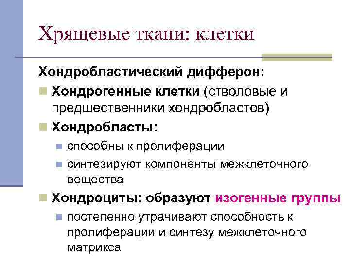 Хрящевые ткани: клетки Хондробластический дифферон: n Хондрогенные клетки (стволовые и предшественники хондробластов) n Хондробласты: