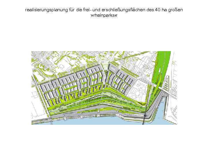 realisierungsplanung für die frei- und erschließungsflächen des 40 ha großen » rheinparks « 