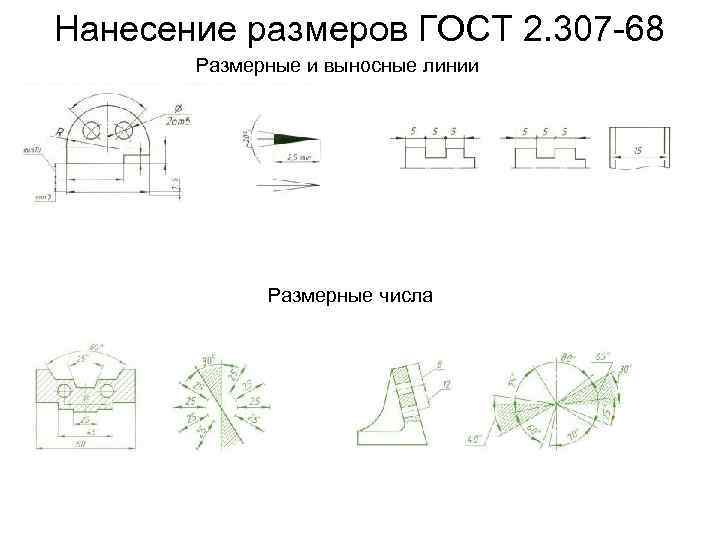 Нанесение размеров ГОСТ 2. 307 -68 Размерные и выносные линии Размерные числа 