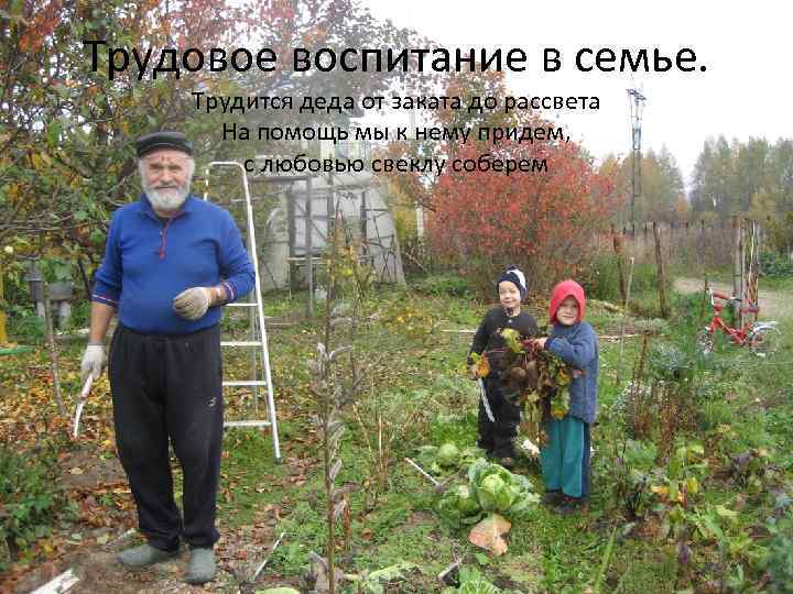 Трудовое воспитание в семье. Трудится деда от заката до рассвета На помощь мы к