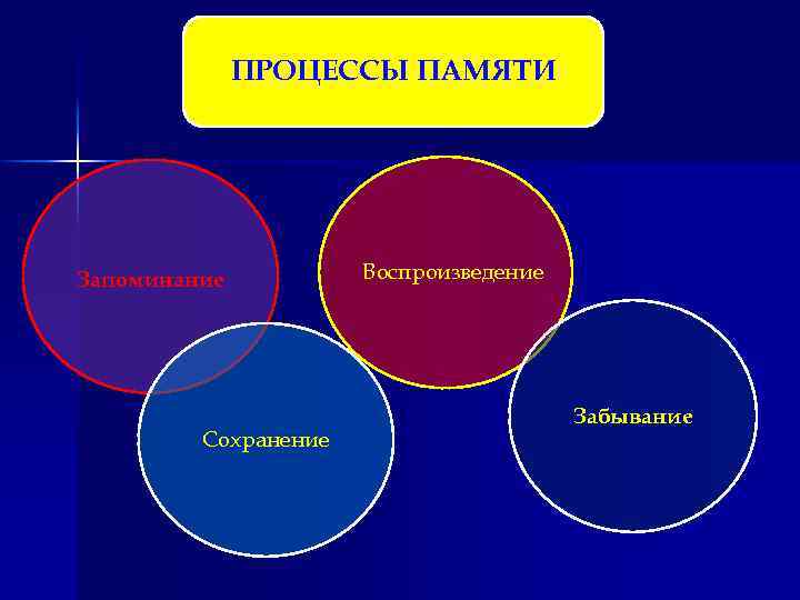 ПРОЦЕССЫ ПАМЯТИ Запоминание Сохранение Воспроизведение Забывание 