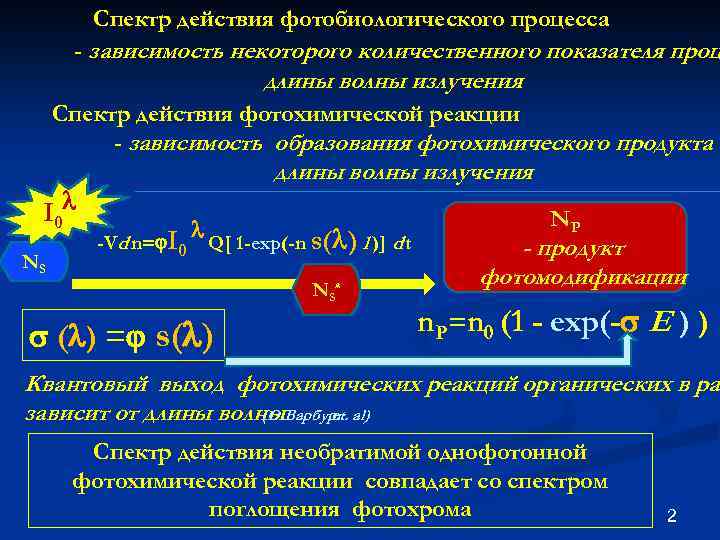 Спектр действия фотобиологического процесса - зависимость некоторого количественного показателя проц длины волны излучения Спектр