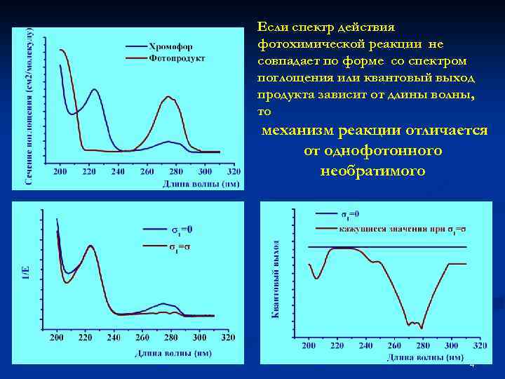 Если спектр действия фотохимической реакции не совпадает по форме со спектром поглощения или квантовый