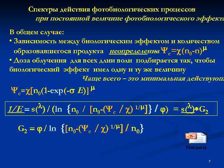 Спектры действия фотобиологических процессов при постоянной величине фотобиологического эффекта В общем случае: • Зависимость