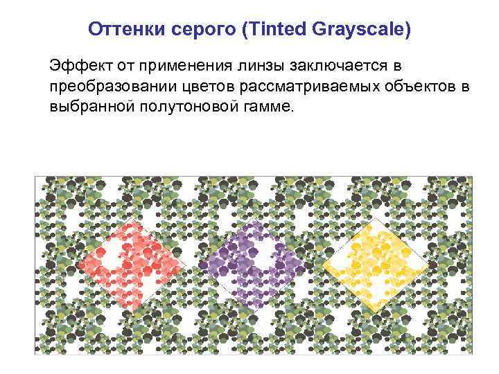 Оттенки серого (Tinted Grayscale) Эффект от применения линзы заключается в преобразовании цветов рассматриваемых объектов