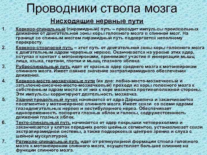 Проводники ствола мозга Нисходящие нервные пути 1. 2. 3. 4. 5. 6. 7. Корково-спинальный