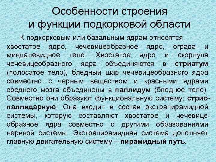 Особенности строения и функции подкорковой области К подкорковым или базальным ядрам относятся хвостатое ядро,