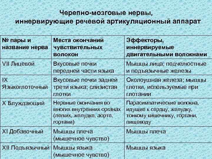Черепно-мозговые нервы, иннервирующие речевой артикуляционный аппарат № пары и Места окончаний название нерва чувствительных
