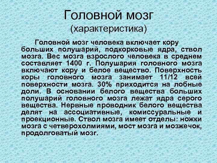 Головной мозг (характеристика) Головной мозг человека включает кору больших полушарий, подкорковые ядра, ствол мозга.