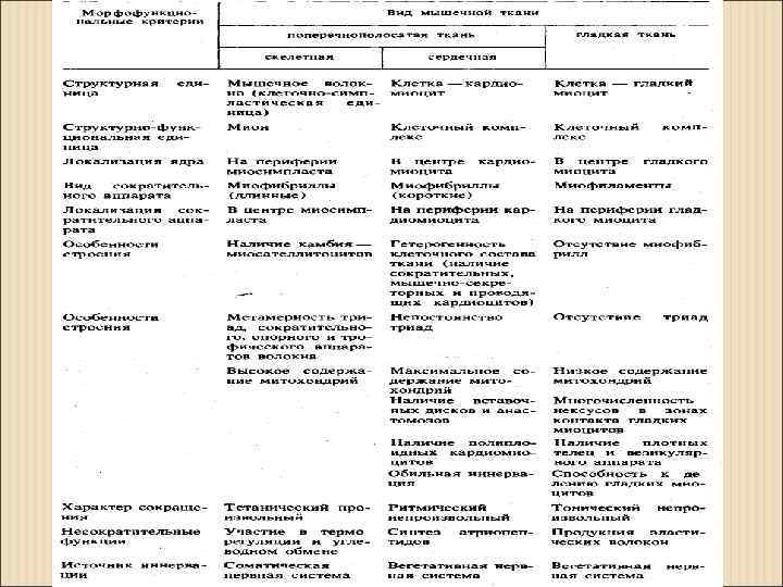 Гистология в схемах и в таблицах pdf