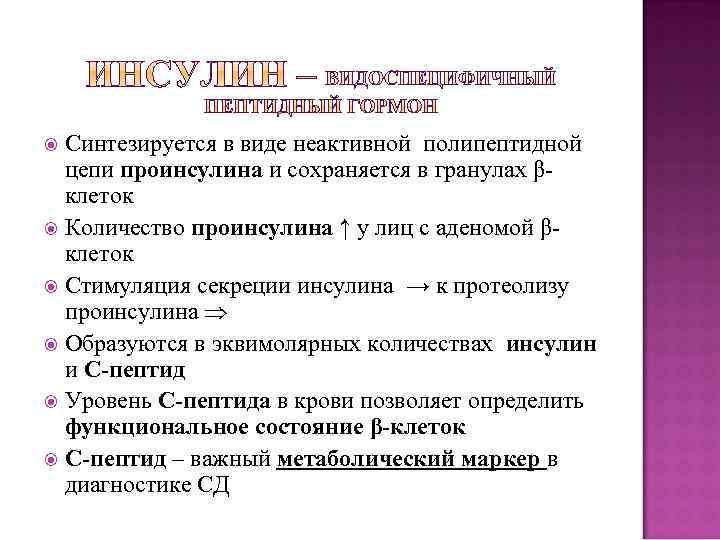 Синтезируется в виде неактивной полипептидной цепи проинсулина и сохраняется в гранулах βклеток Количество проинсулина