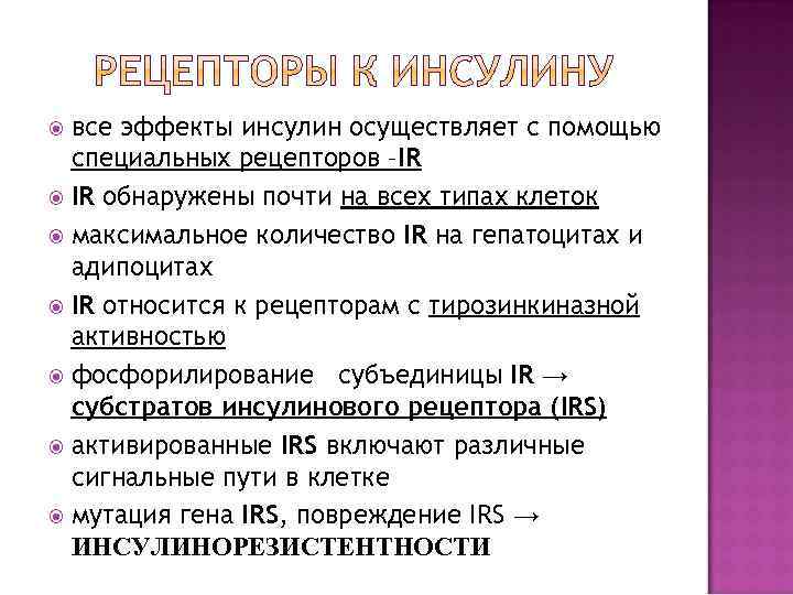 все эффекты инсулин осуществляет с помощью специальных рецепторов –IR IR обнаружены почти на всех
