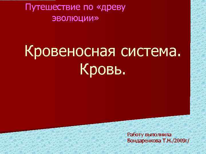 Путешествие по «древу эволюции» Кровеносная система. Кровь. Работу выполнила Бондаренкова Т. Н. /2009 г/
