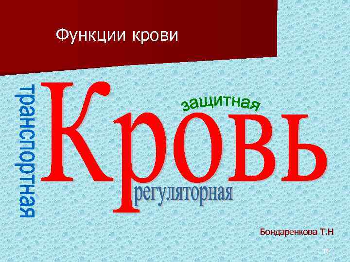 Функции крови Бондаренкова Т. Н 18 