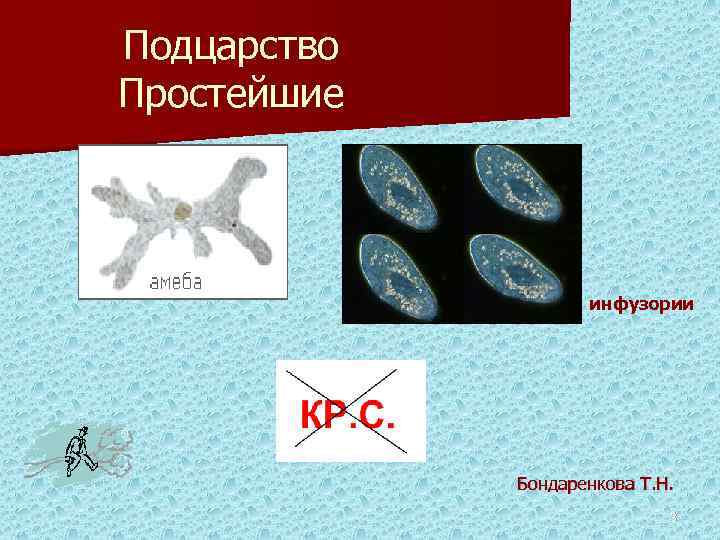 Подцарство Простейшие инфузории Бондаренкова Т. Н. 3 