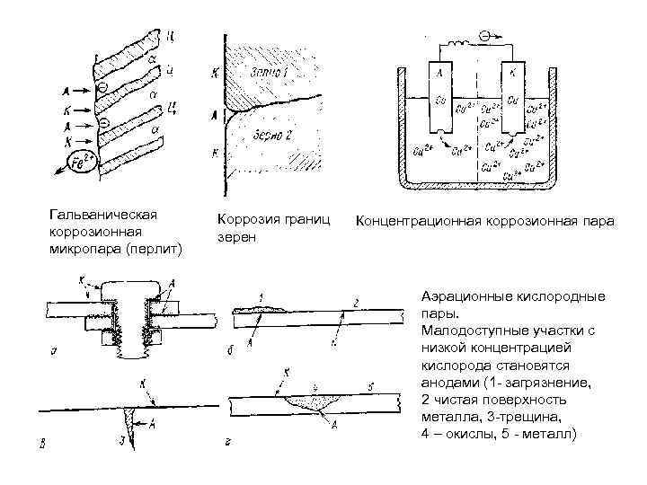 Гальваническая коррозионная микропара (перлит) Коррозия границ зерен Концентрационная коррозионная пара Аэрационные кислородные пары. Малодоступные
