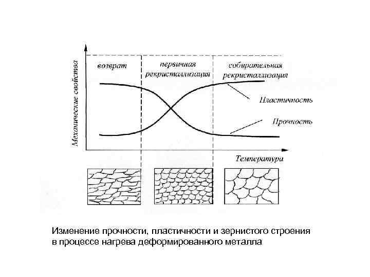 Изменение прочности, пластичности и зернистого строения в процессе нагрева деформированного металла 