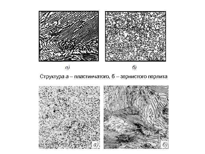 Микроструктуры клеток окрашенные в оранжевый цвет. Зернистый перлит микроструктура. Эвтектоидная сталь пластинчатый перлит. Перлит пластинчатый микроструктура. Структура перлит цементит пластинчатый.