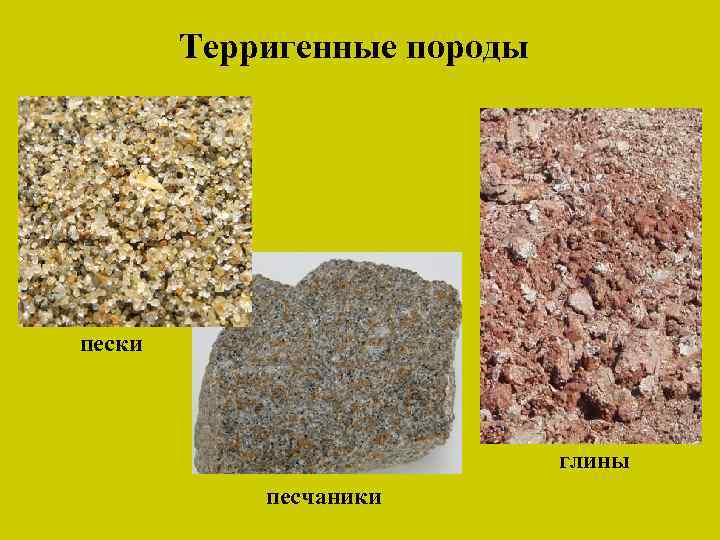 Терригенные породы пески глины песчаники 
