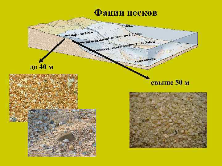 Фации песков до 40 м свыше 50 м 