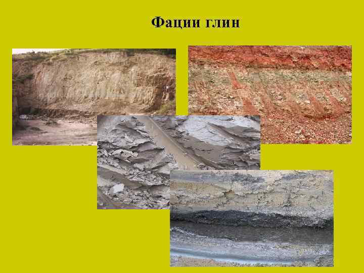 Фации глин 