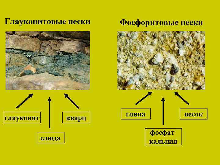 Глауконитовые пески глауконит кварц слюда Фосфоритовые пески глина песок фосфат кальция 