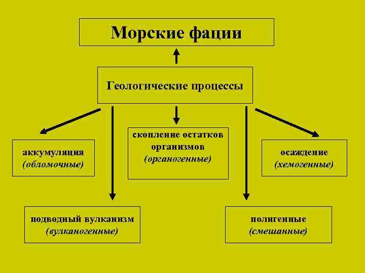 Морские фации Геологические процессы аккумуляция (обломочные) скопление остатков организмов (органогенные) подводный вулканизм (вулканогенные) осаждение