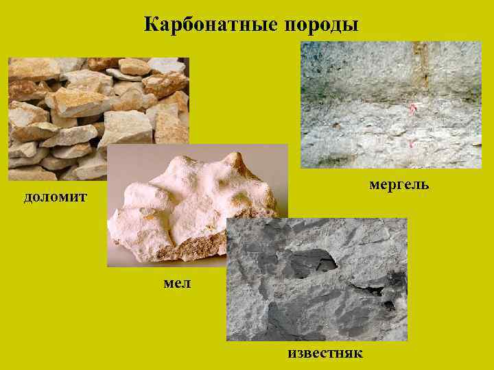 Карбонатные породы мергель доломит мел известняк 