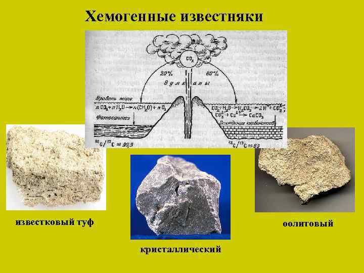 Хемогенные известняки известковый туф оолитовый кристаллический 