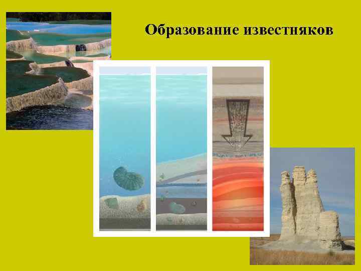 Образование известняков 