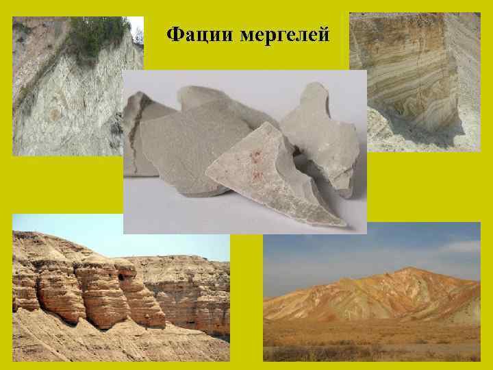 Фации мергелей 