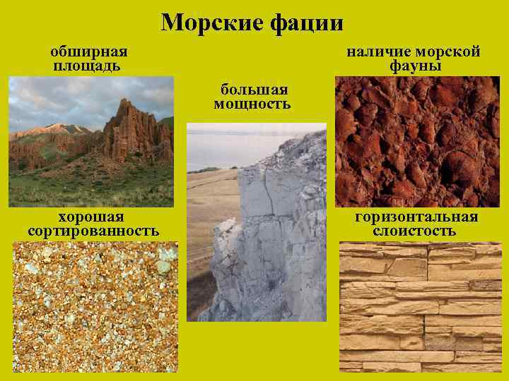 Морские фации обширная площадь наличие морской фауны большая мощность хорошая сортированность горизонтальная слоистость 