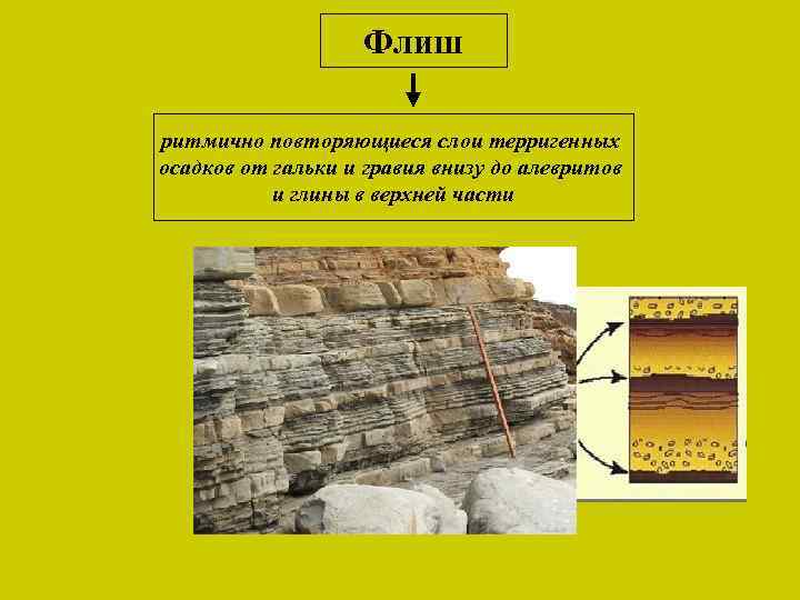 Флиш ритмично повторяющиеся слои терригенных осадков от гальки и гравия внизу до алевритов и