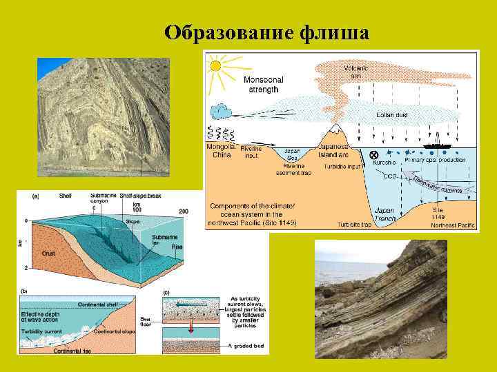 Образование флиша 