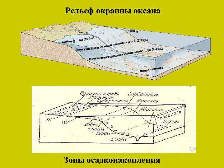Рельеф окраины океана Зоны осадконакопления 