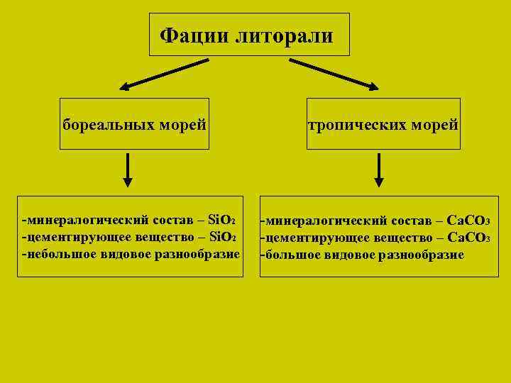 Фации литорали бореальных морей -минералогический состав – Si. O 2 -цементирующее вещество – Si.