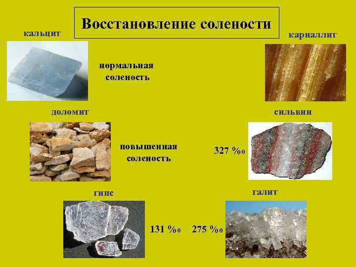 кальцит Восстановление солености карналлит нормальная соленость доломит сильвин повышенная соленость 327 %о галит гипс